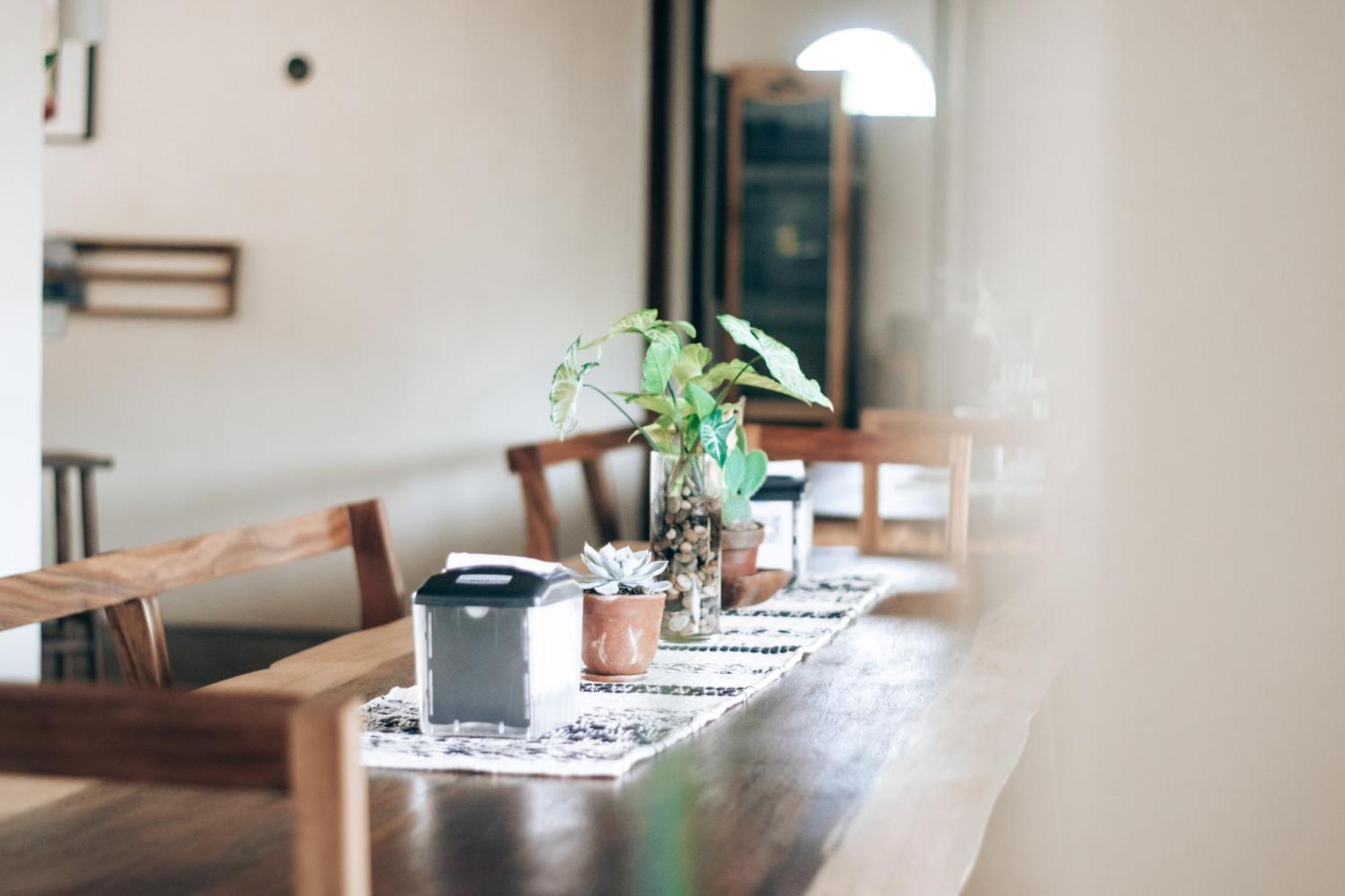 Caracola Boutique Hostel El Paredón Buena Vista エクステリア 写真