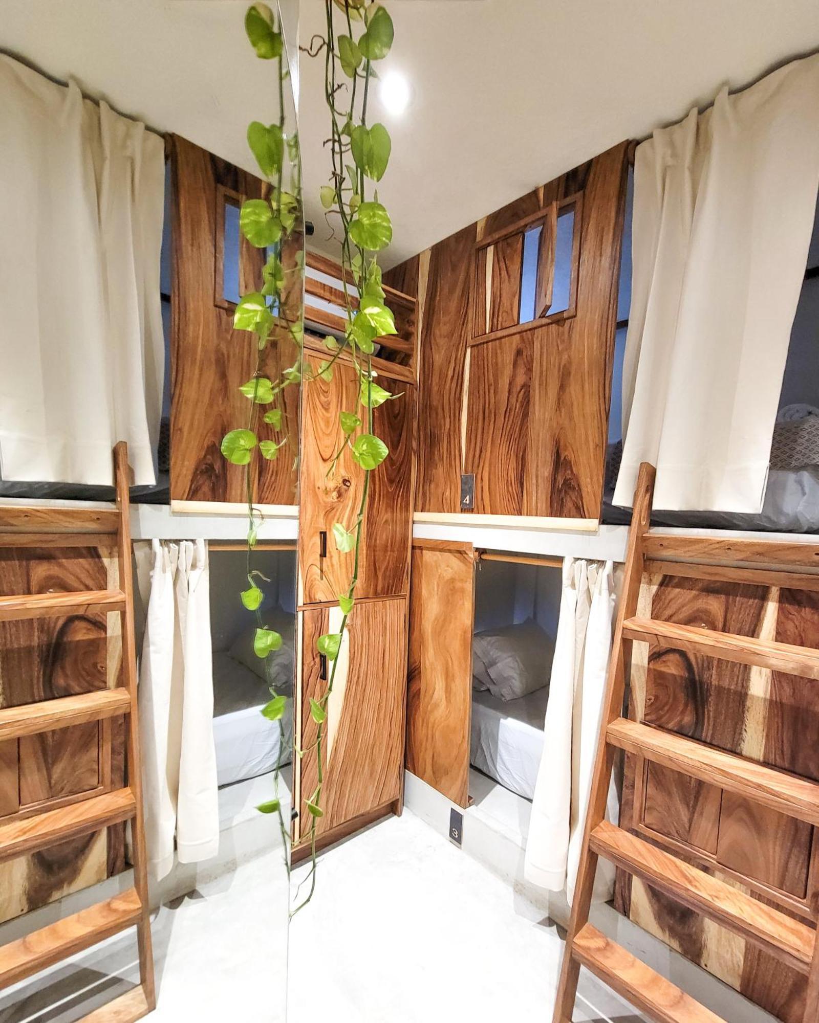 Caracola Boutique Hostel El Paredón Buena Vista エクステリア 写真